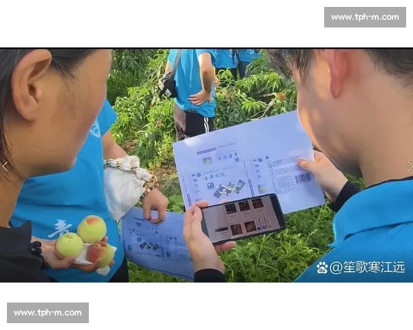 以传球为核心构建团队进攻艺术与默契协作的制胜哲学探索实践路径